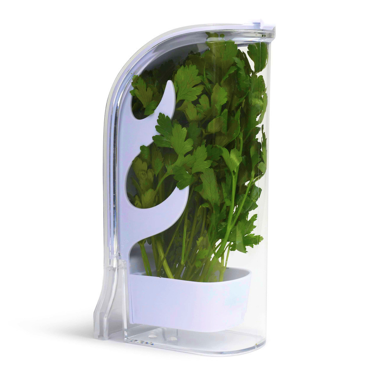 Herb Crisper Saver Container R - огляд і ціна Herb Keeper Container