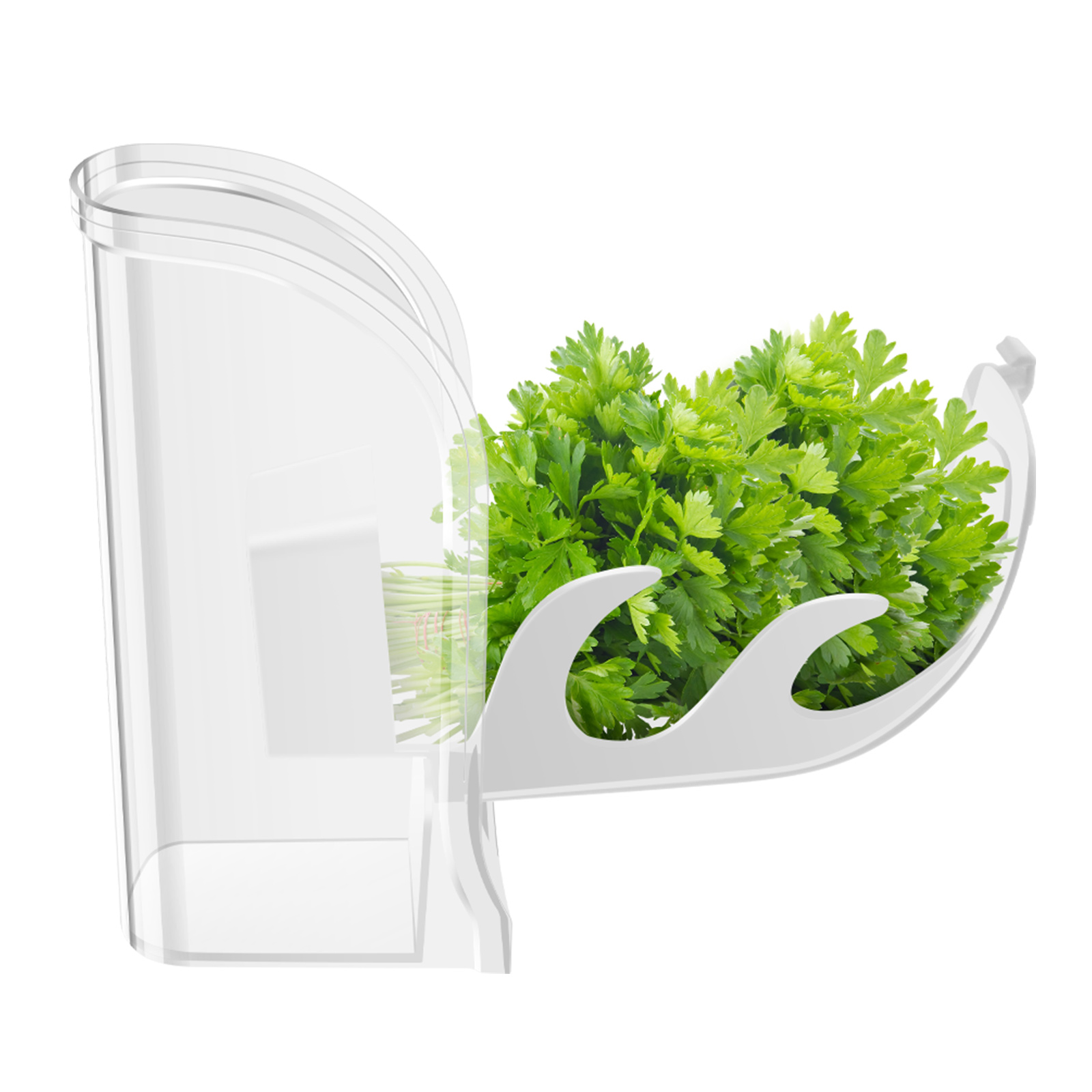 Herb Crisper Saver Container R - огляд і ціна Herb Keeper Container