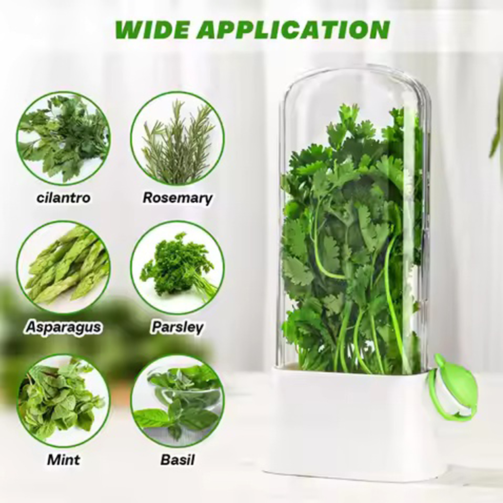 1pc Refrigerator Herb Crisper  - огляд і ціна Herb Keeper Container