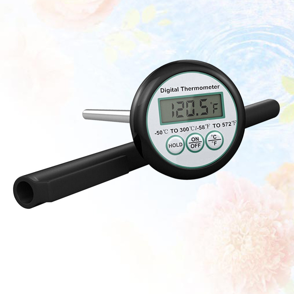 Professional Digital Food Ther - огляд і ціна Food Storage Non Toxic