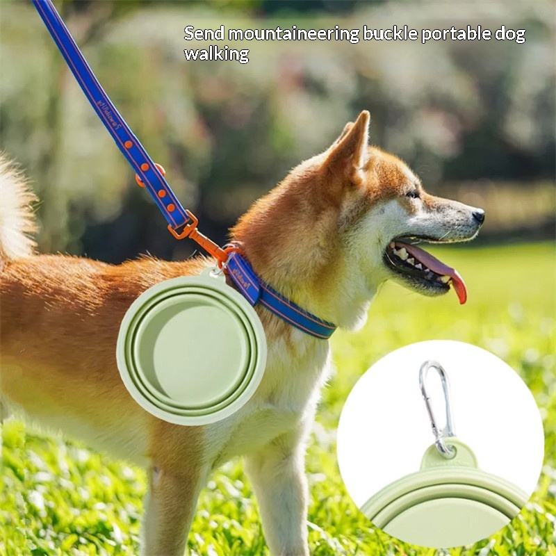 Silicone Dog Food Water Bowl C - огляд і ціна Portion Control Container