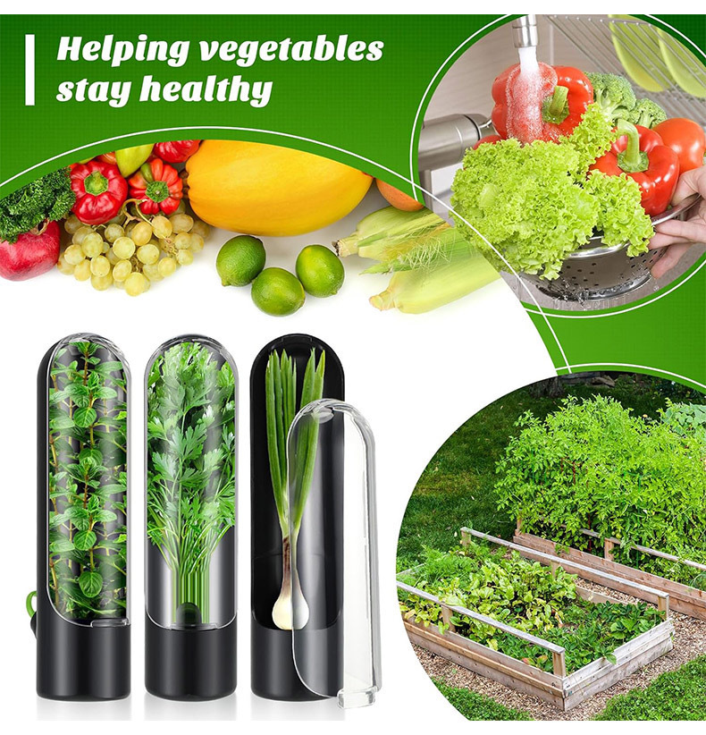 Vegetables Fresh Preservation  - огляд і ціна Herb Keeper Container