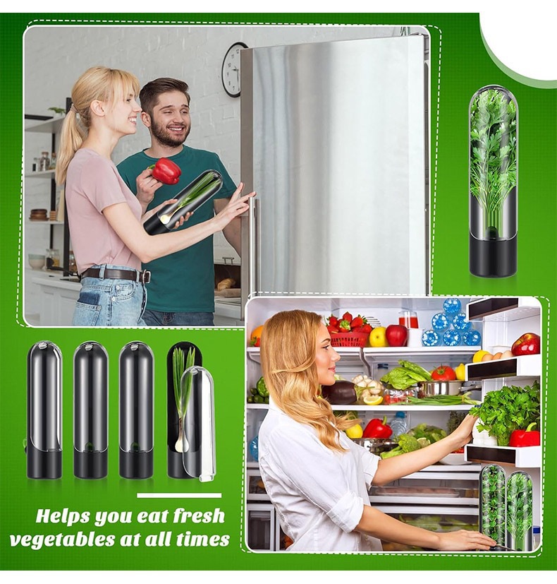 Vegetables Fresh Preservation  - огляд і ціна Herb Keeper Container